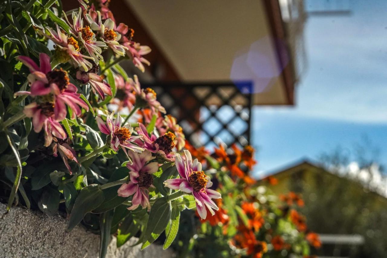 Agriturismo La Rocca San Bartolomeo Al Mare Bagian luar foto